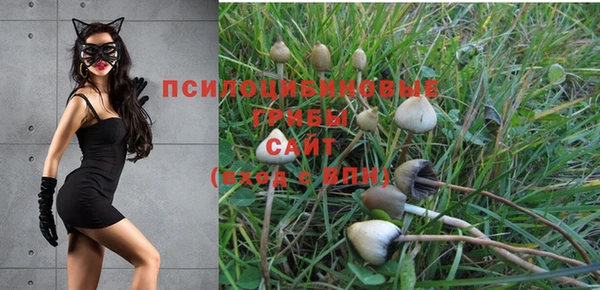 хмурый Алексеевка