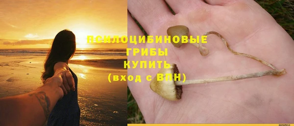 хмурый Алексеевка