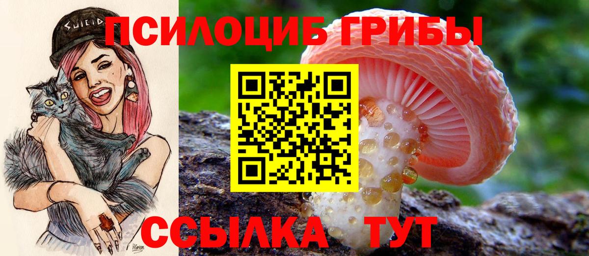 Псилоцибиновые грибы Psilocybe  Галлюциногенные грибы Psilocybine cubensis  Ревда  Вход с VPN 