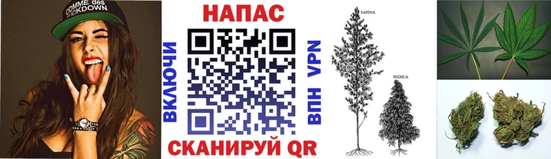 наркота  Ревда  Конопля SATIVA & INDICA 